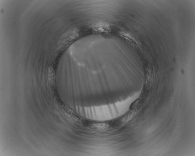 X0000067370659200604131843