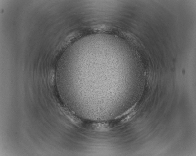 X0000067370660200604131843