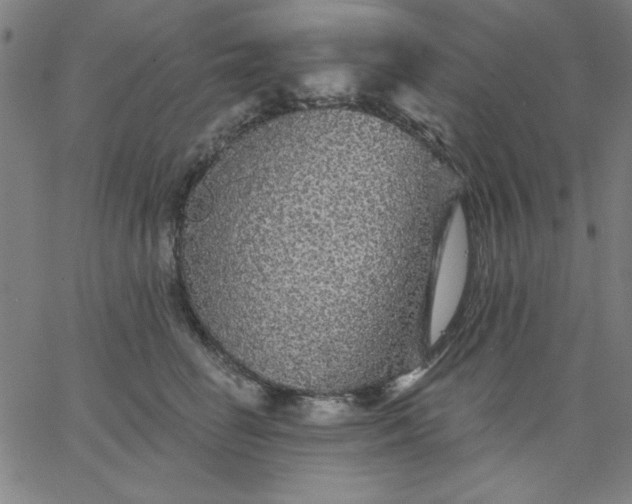 X0000067370662200604131843