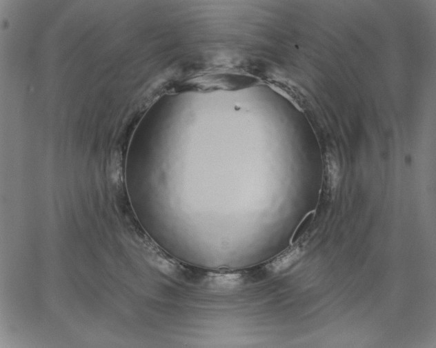 X0000067370665200604131843