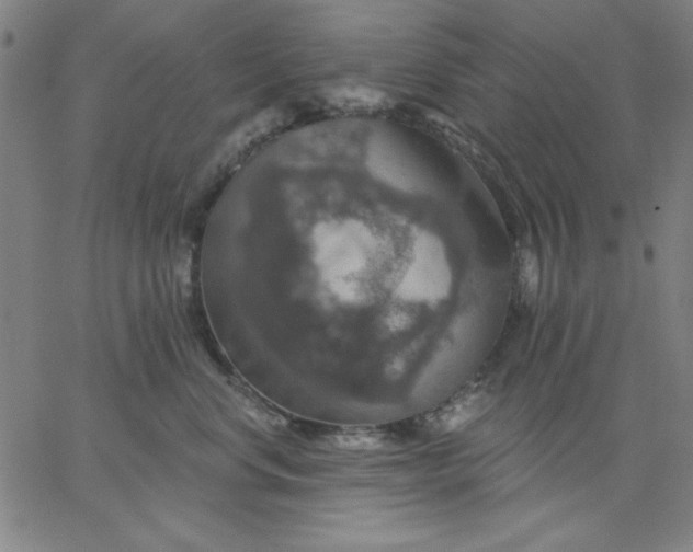 X0000067370668200604131843