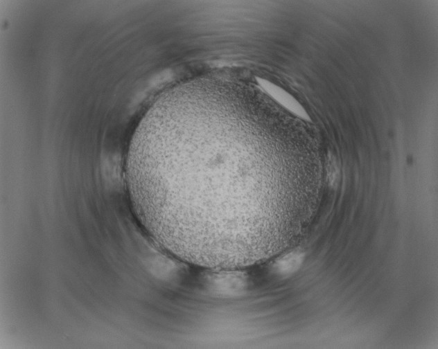 X0000067370670200604131843