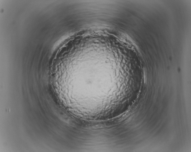 X0000067370675200604131842
