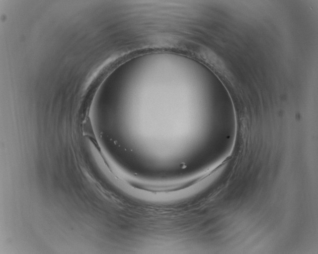 X0000067370676200604131842