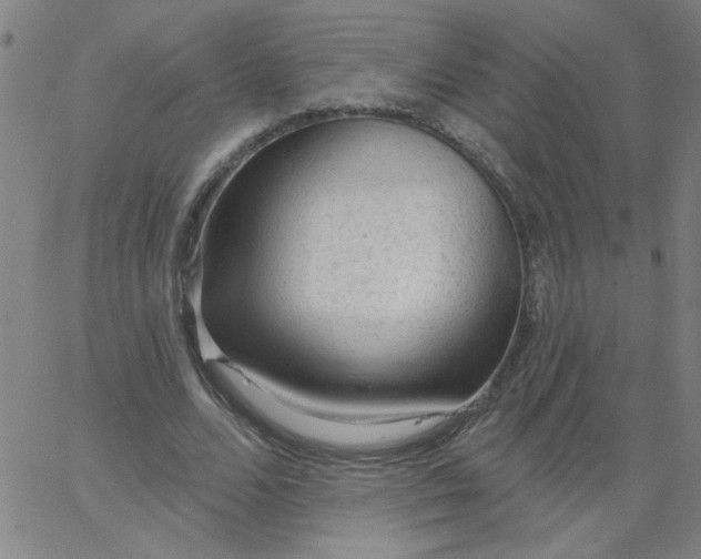 X0000067370680200604131842