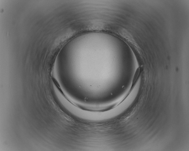 X0000067370681200604131842