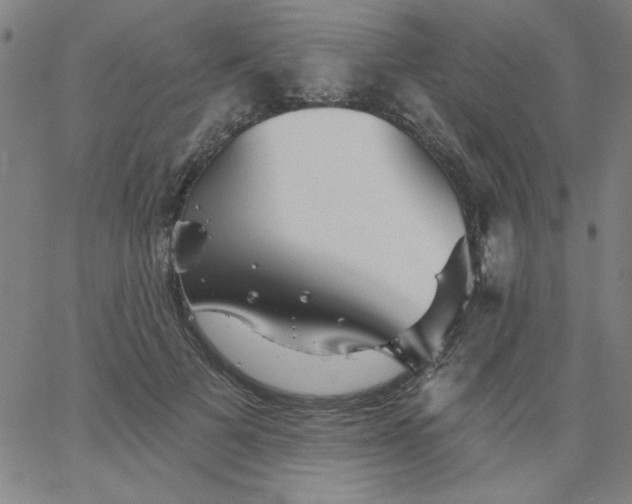 X0000067370697200604131842