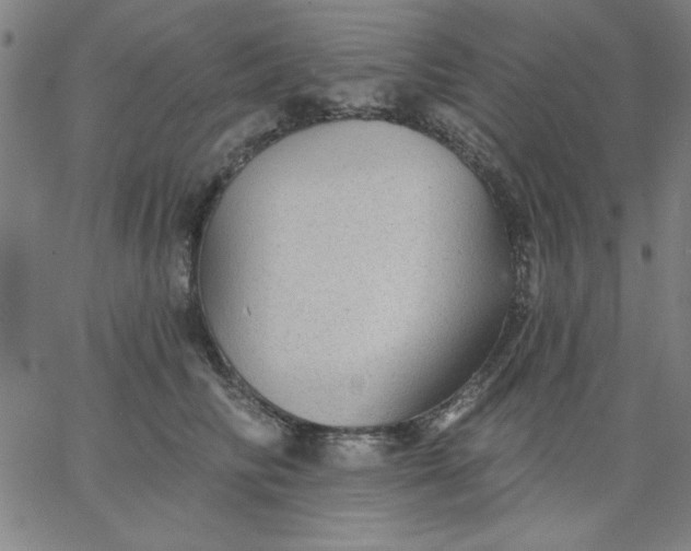 X0000067370710200604131841