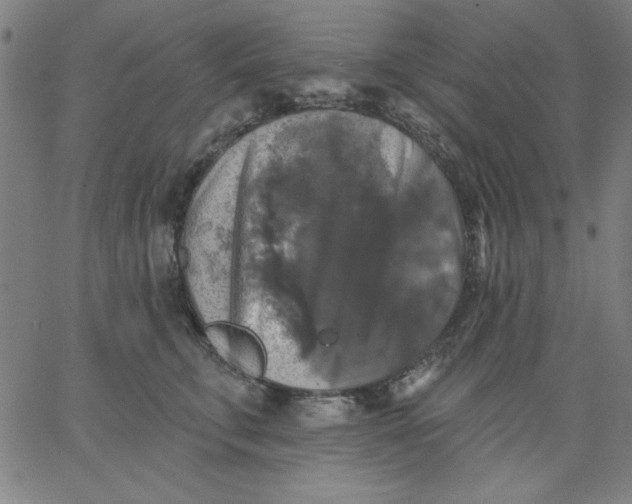 X0000067370711200604131841