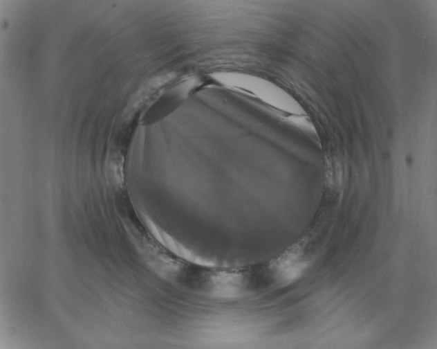 X0000067370718200604131841