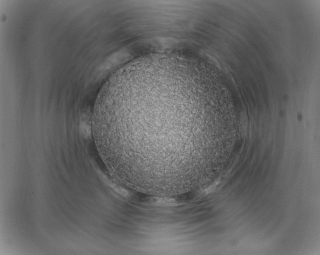 X0000067370719200604131841