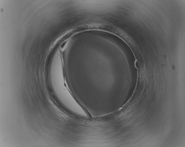 X0000067370722200604131840