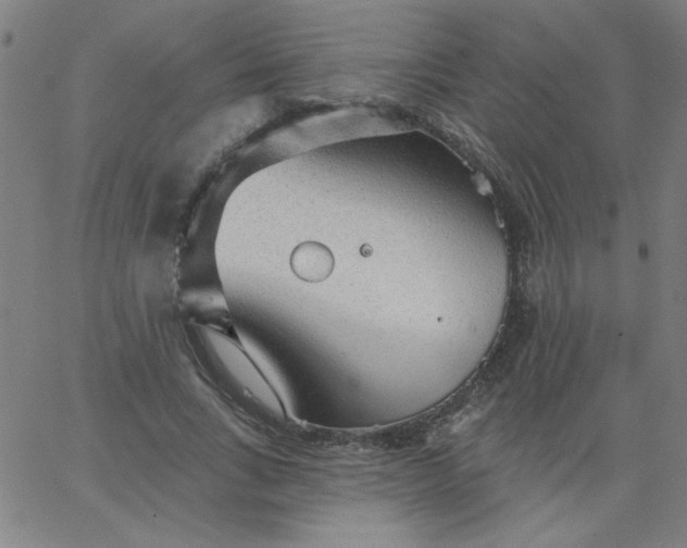 X0000067370735200604131841
