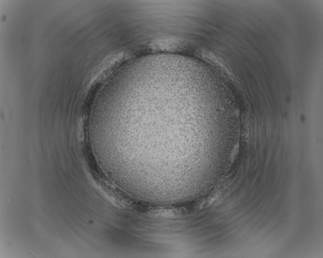 X0000067370738200604131841