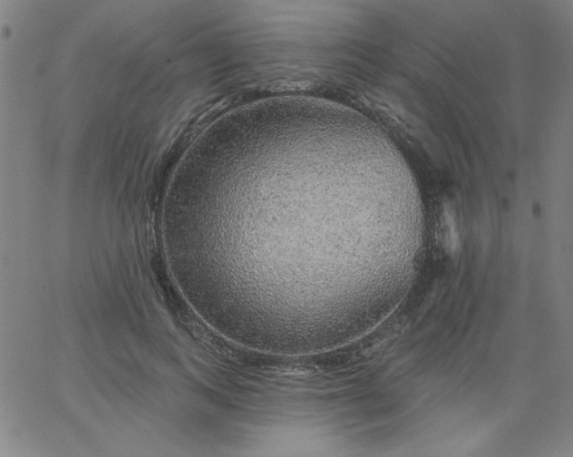 X0000067370743200604131841