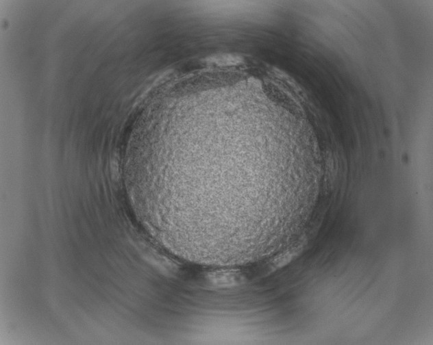 X0000067370761200604131841