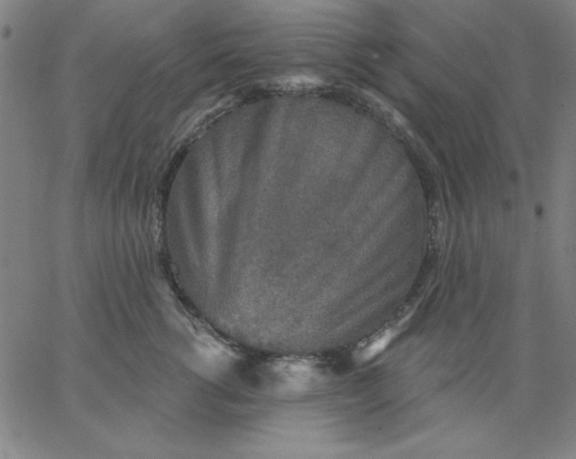 X0000067370762200604131841
