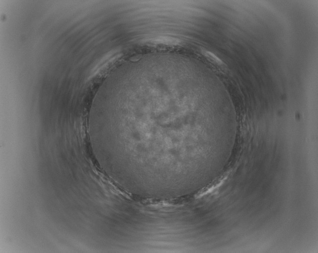 X0000067370774200604131840