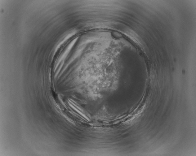 X0000067370790200604131840