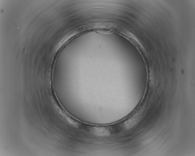 X0000067370794200604131840