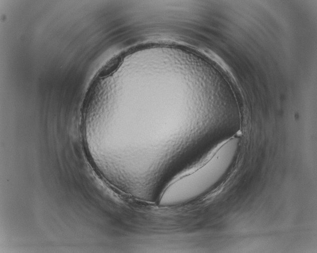 X0000067370799200604131840