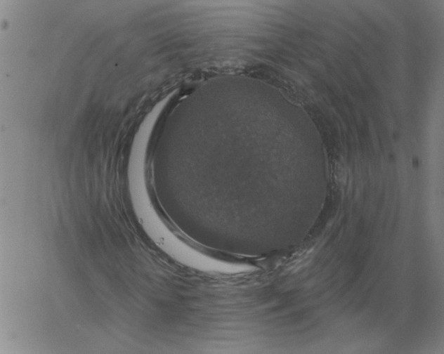 X0000067370818200604131839