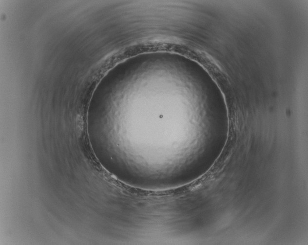 X0000067370821200604131839