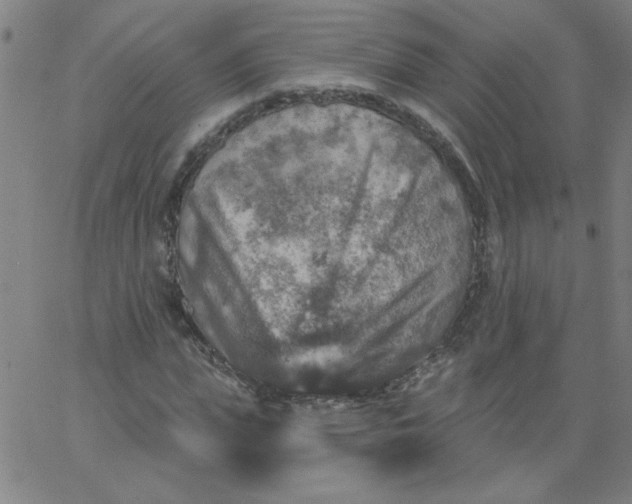 X0000067370823200604131839