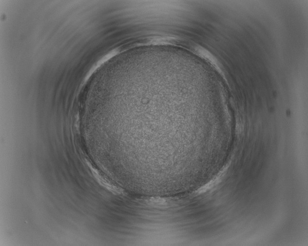 X0000067370827200604131839
