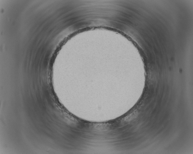 X0000067370832200604131839