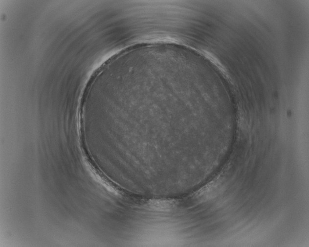 X0000067370840200604131839