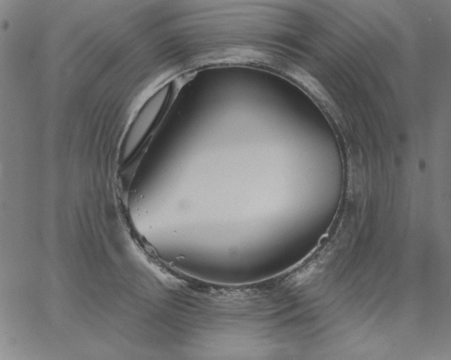 X0000067370850200604131839