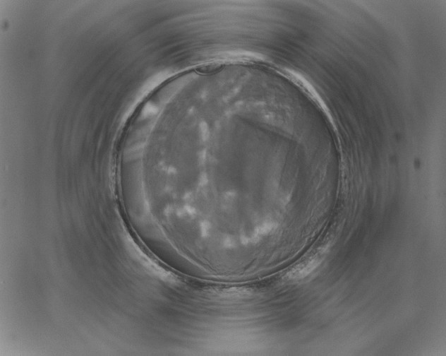 X0000067370851200604131839