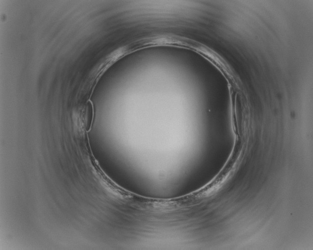 X0000067370857200604131840
