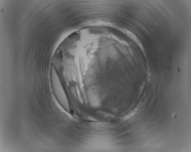 X0000067370863200604131840