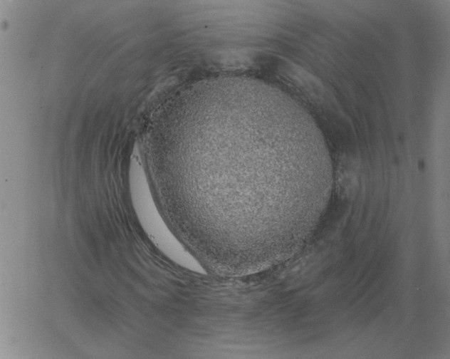 X0000067370866200604131839