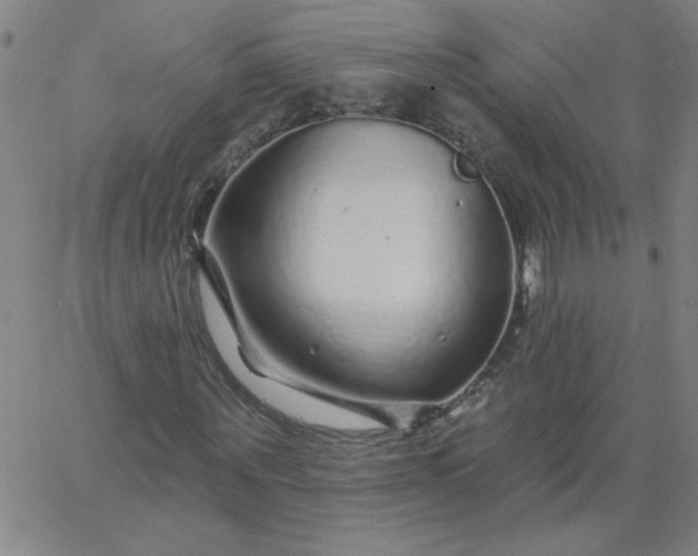 X0000067370867200604131839