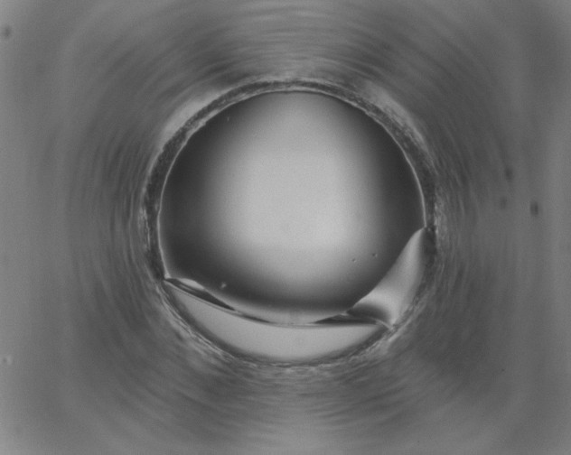 X0000067370876200604131839