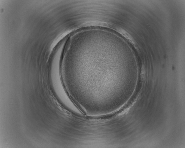 X0000067370877200604131839