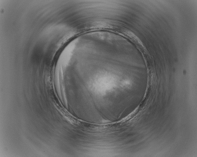 X0000067370882200604131839