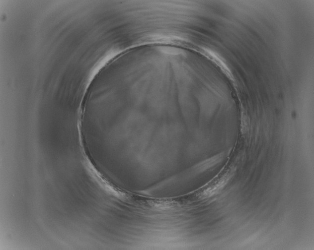 X0000067370899200604131838