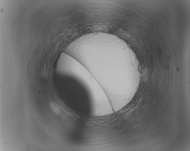 X0000067370913200604131837