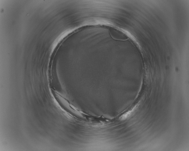 X0000067370943200604131838