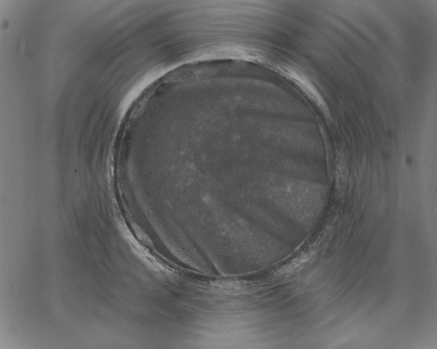 X0000067370944200604131838