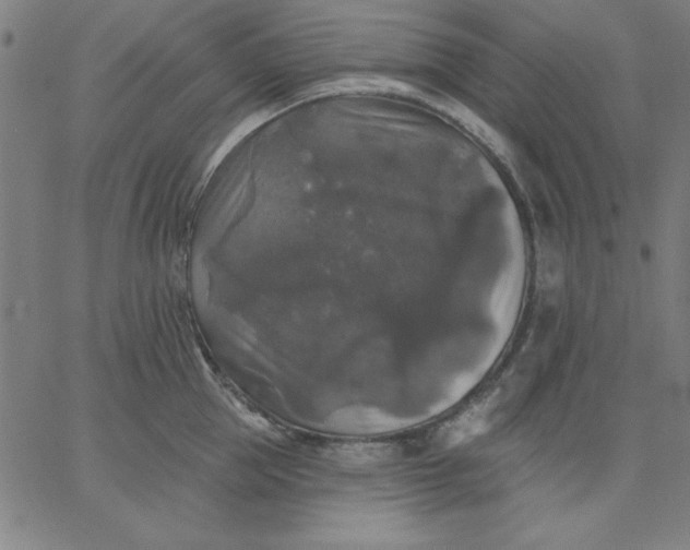 X0000067370953200604131838