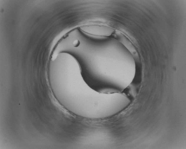 X0000067370960200604131838