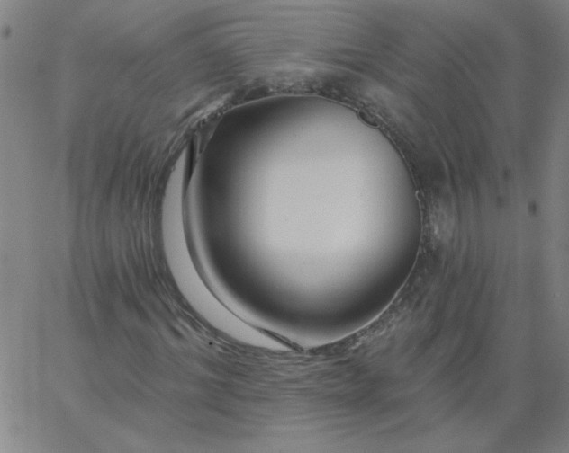 X0000067370964200604131837