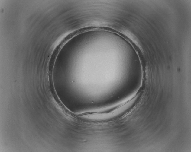 X0000067370972200604131837