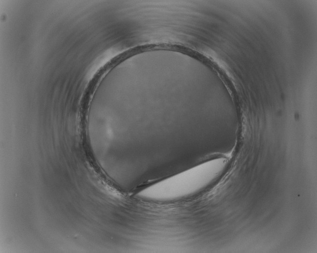 X0000067370975200604131837