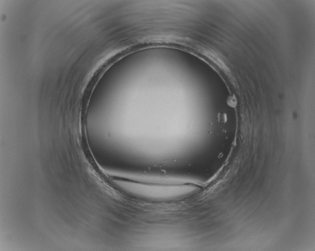 X0000067370984200604131837